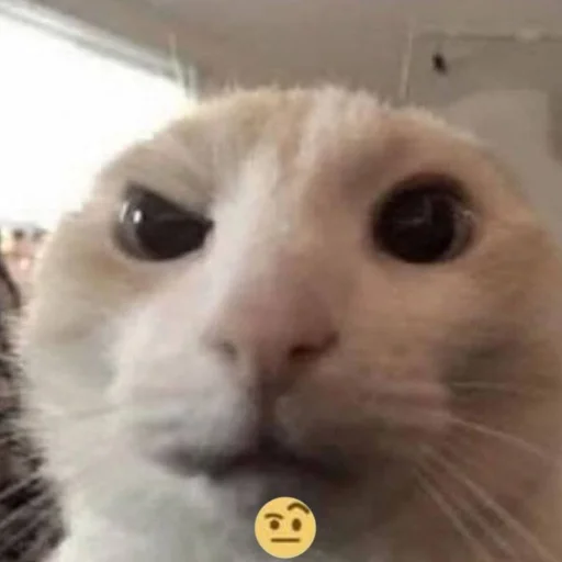 Кот угарный - 