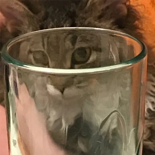 Sticker Попочка для попочки - 2