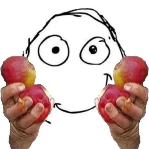 fruit sketch drawing