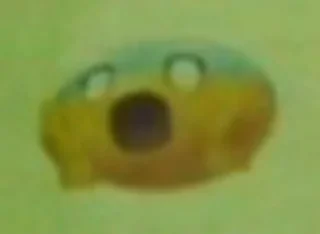 Sticker Аптека закрыта - 3