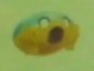 Sticker Аптека закрыта - 0