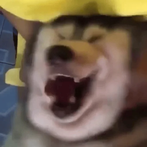 Стикер ar_chik - 1