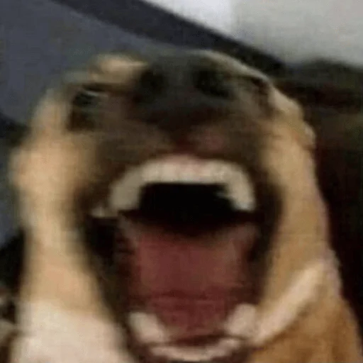 Стикер ar_chik - 1