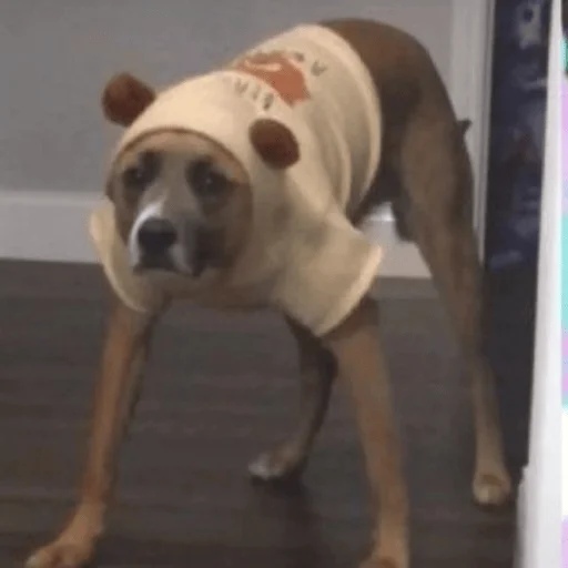 Стикер ar_chik - 1