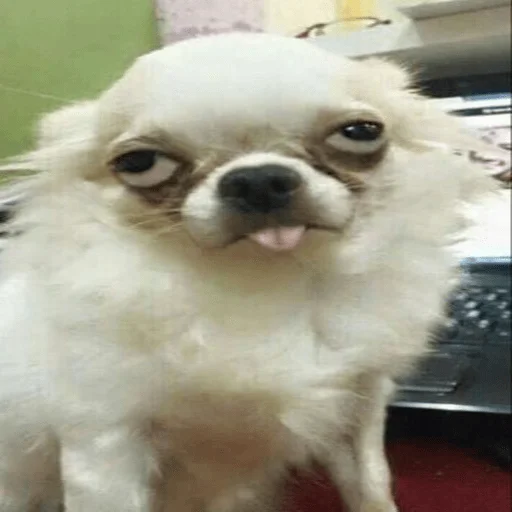 Стикер ar_chik - 1