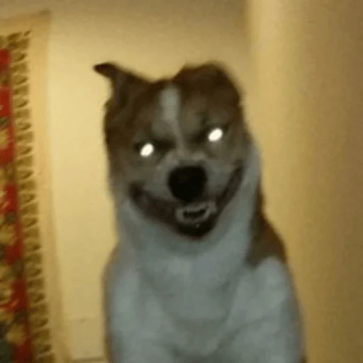 Стикер ar_chik - 1