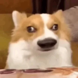 Стикер Arch - 9