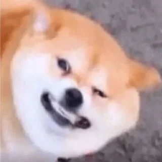 Стикер Arch - 8