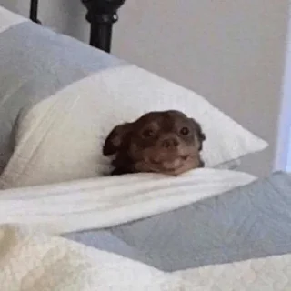 Стикер Arch - 6