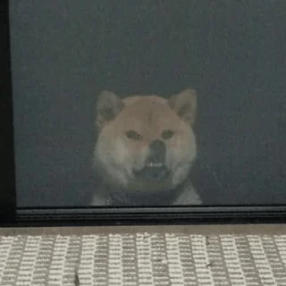 Стикер Arch - 11