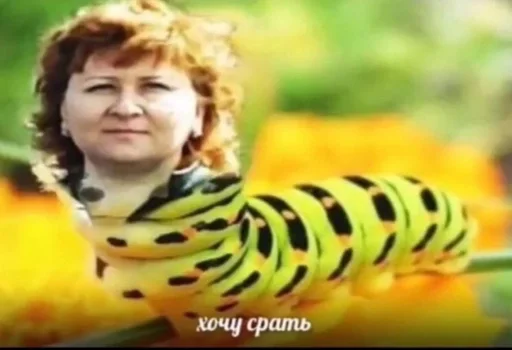 animal person invertebrate