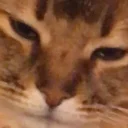 Стикер Ой, фак ю. - 6