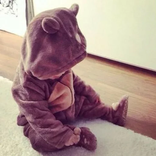 mammal indoor animal