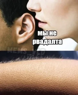 Стикер уарзты зарӕг - 5