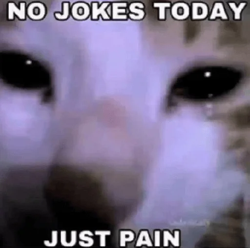 Sticker ариша что-то печатает - 1