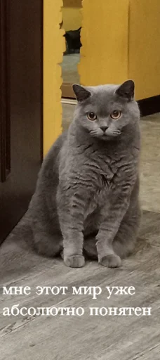 Ариса core @MoiStikiBot - 