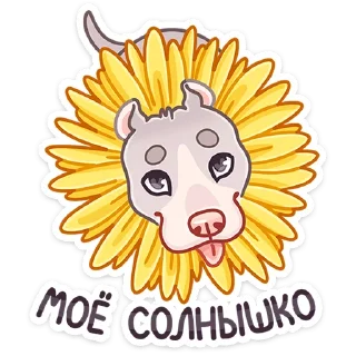 Sticker Аркадий :: @stickroom - 11