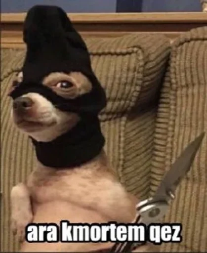 Armenian Stickers (@jessiemarrk) - 