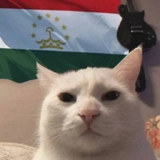 Стикер арабская ночь часть 2 - 9