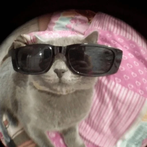 Стикер arsenka_2006 - 1