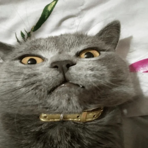 Стикер arsenka_2006 - 1