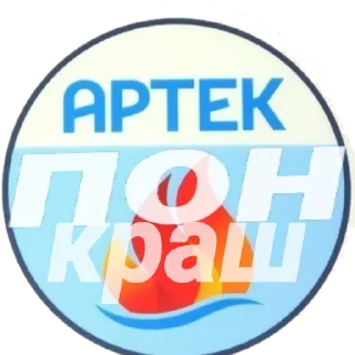 Стикер Артек пон - 8