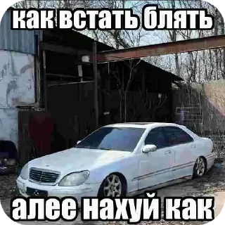 Sticker #артемкупилапку - 5