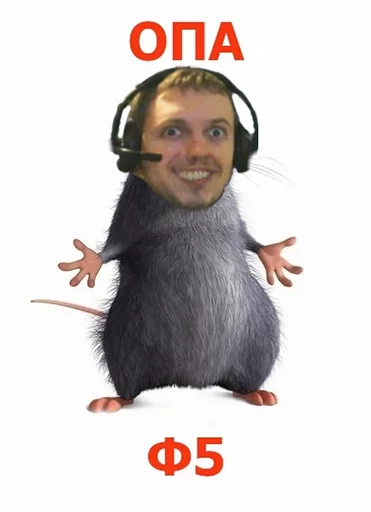 человеческое лицо млекопитающее улыбаться