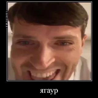 Стикер артон - 2