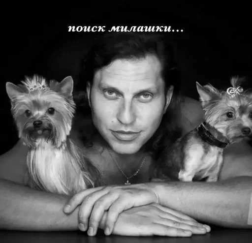 animal mammal person