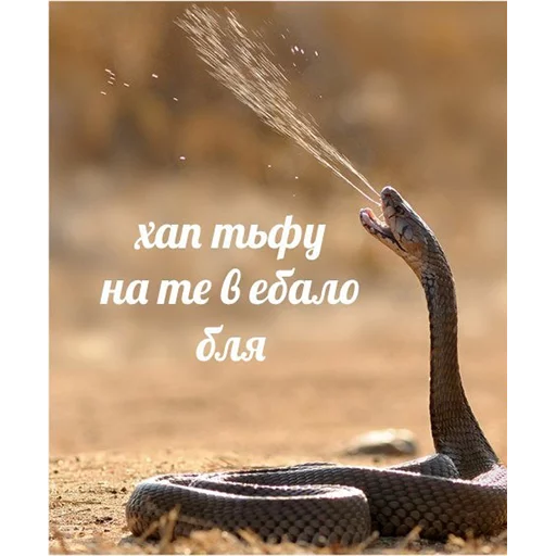 животное млекопитающее змея