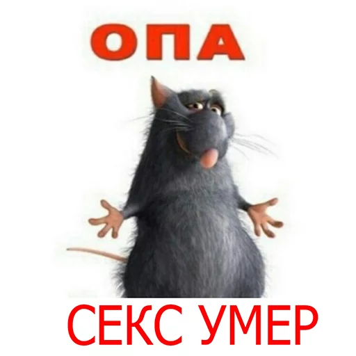 СМС кошка животное