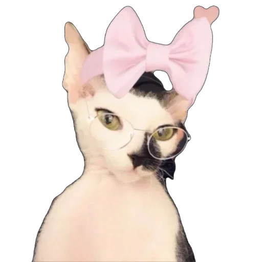 Sticker asechka604 - 1