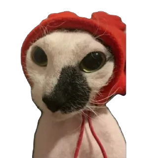 Стикер асечка - 7