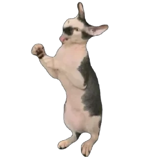 Стикер асечка - 0