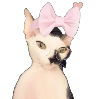 Стикер асечка - 6