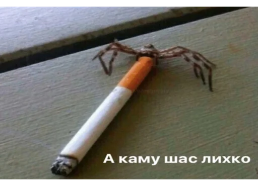 Sticker ashaleeee - 1