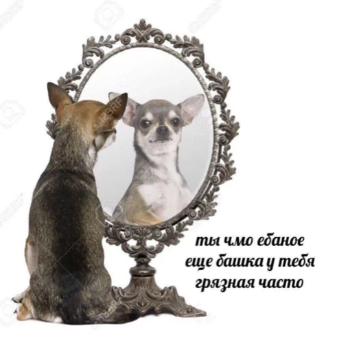 Sticker ashaleeee - 1