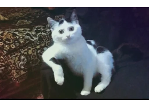 Sticker ashaleeee - 1