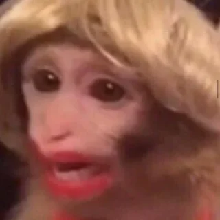 Стикер арабская ночь - 4