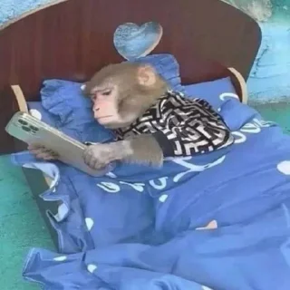 Стикер арабская ночь - 6