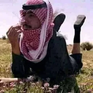 Стикер арабская ночь - 10