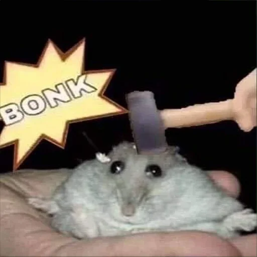 млекопитающее животное кролик