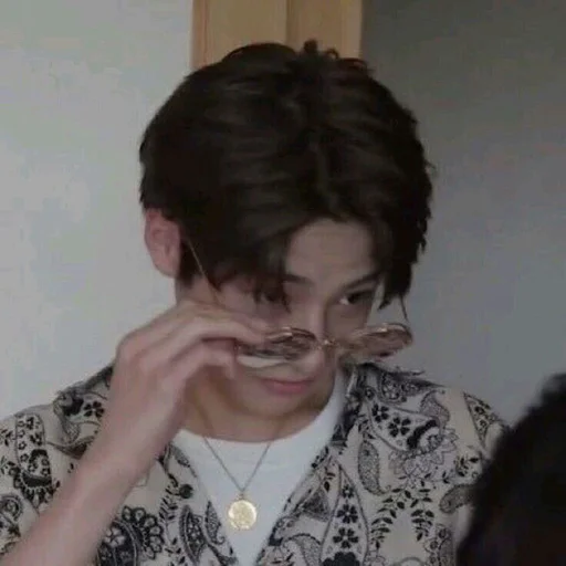 Человек человеческое лицо комнатный