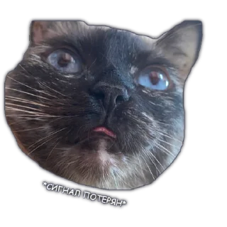 Стикер кринжеловка - 5