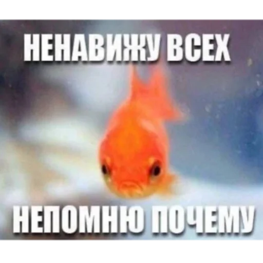 Sticker astakinni - 1