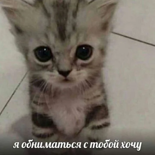 Sticker astakinni - 1