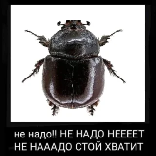 Sticker мда аста момент - 5