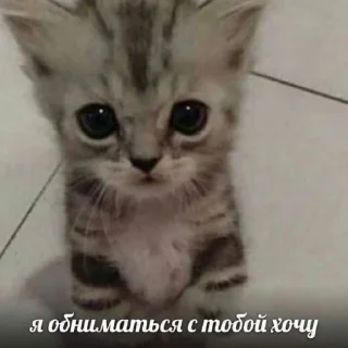 Sticker мда аста момент - 8