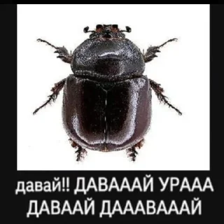 Sticker мда аста момент - 2